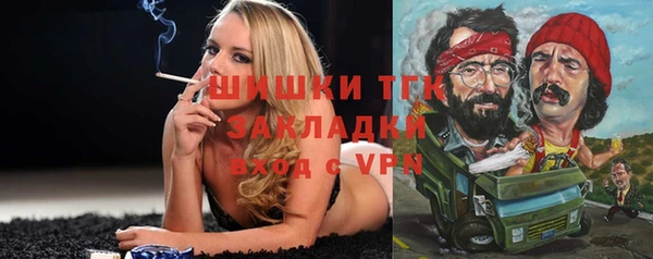 крисы Магадан