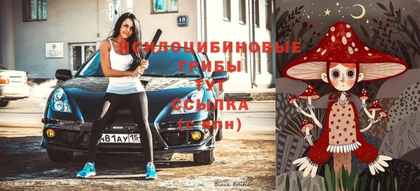крисы Магадан