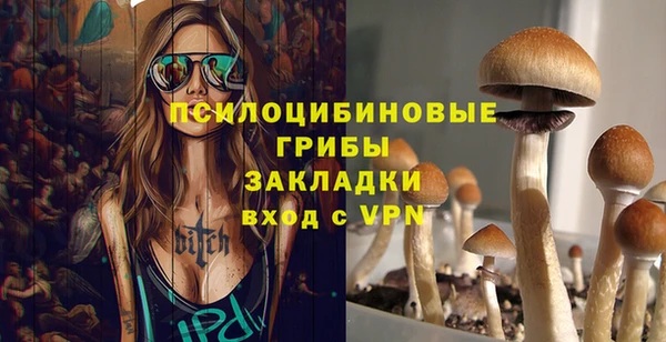 дмт Майский