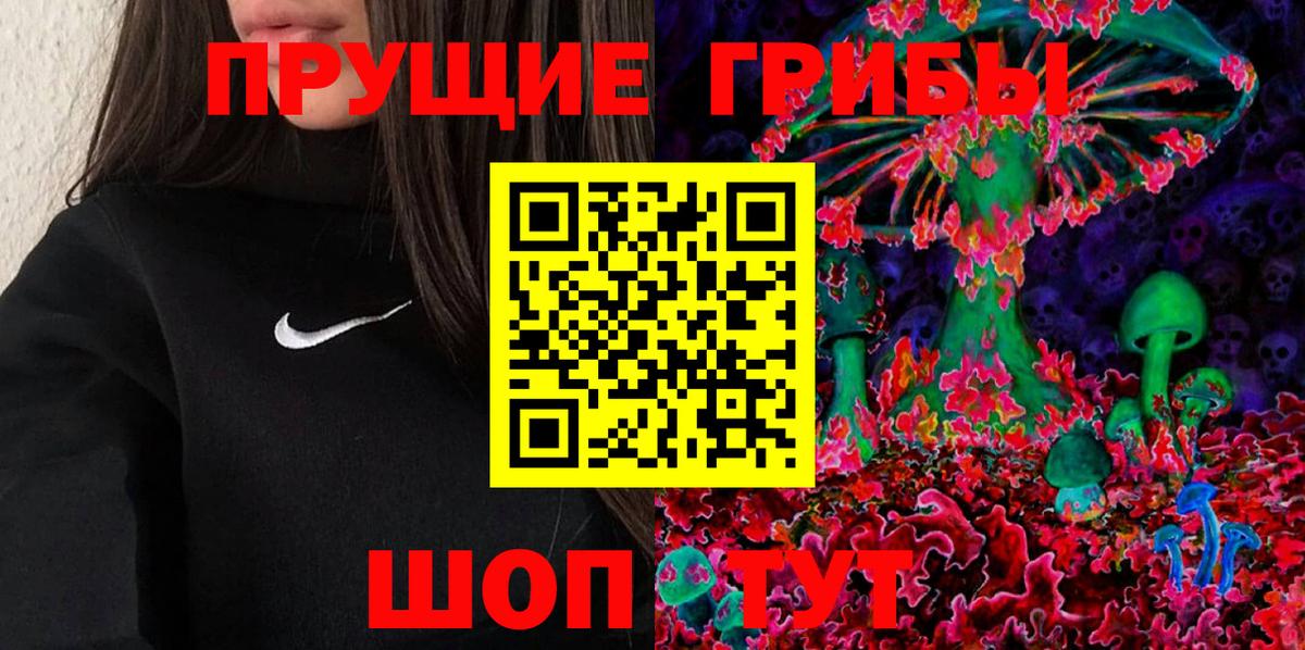 Лесозаводск  Галлюциногенные грибы прущие грибы  Вход с VPN  Галлюциногенные грибы мицелий 